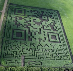 Corn Maze QR Code