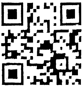 Kraay Family Corn Maze QR Code Analysis