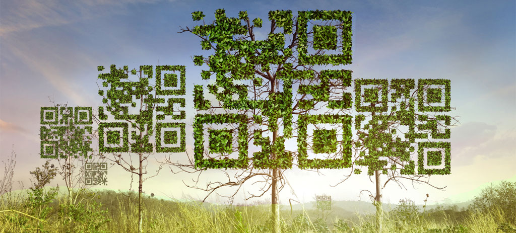 QR code trees